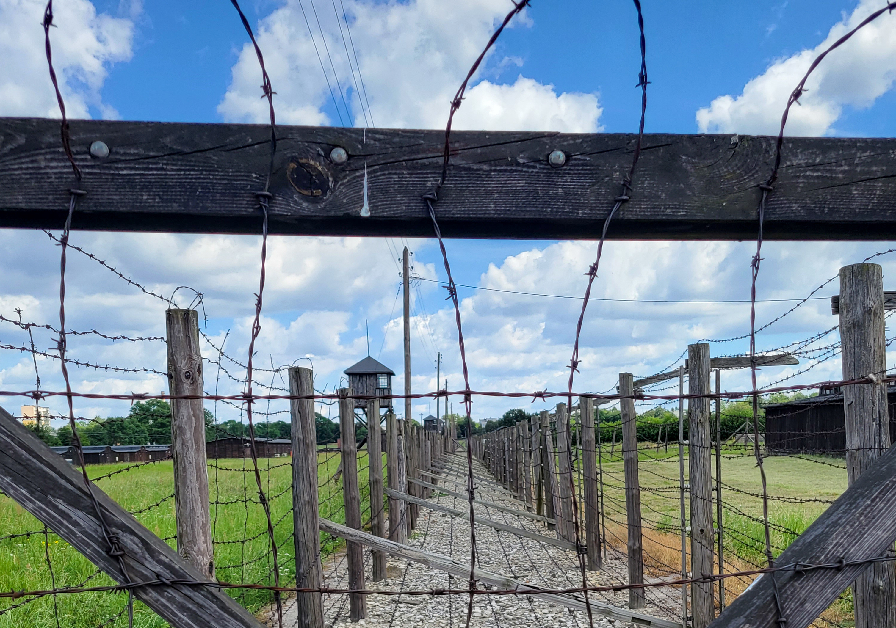 Recommended Reads | Cecil County Public Library, image size:3012x2112