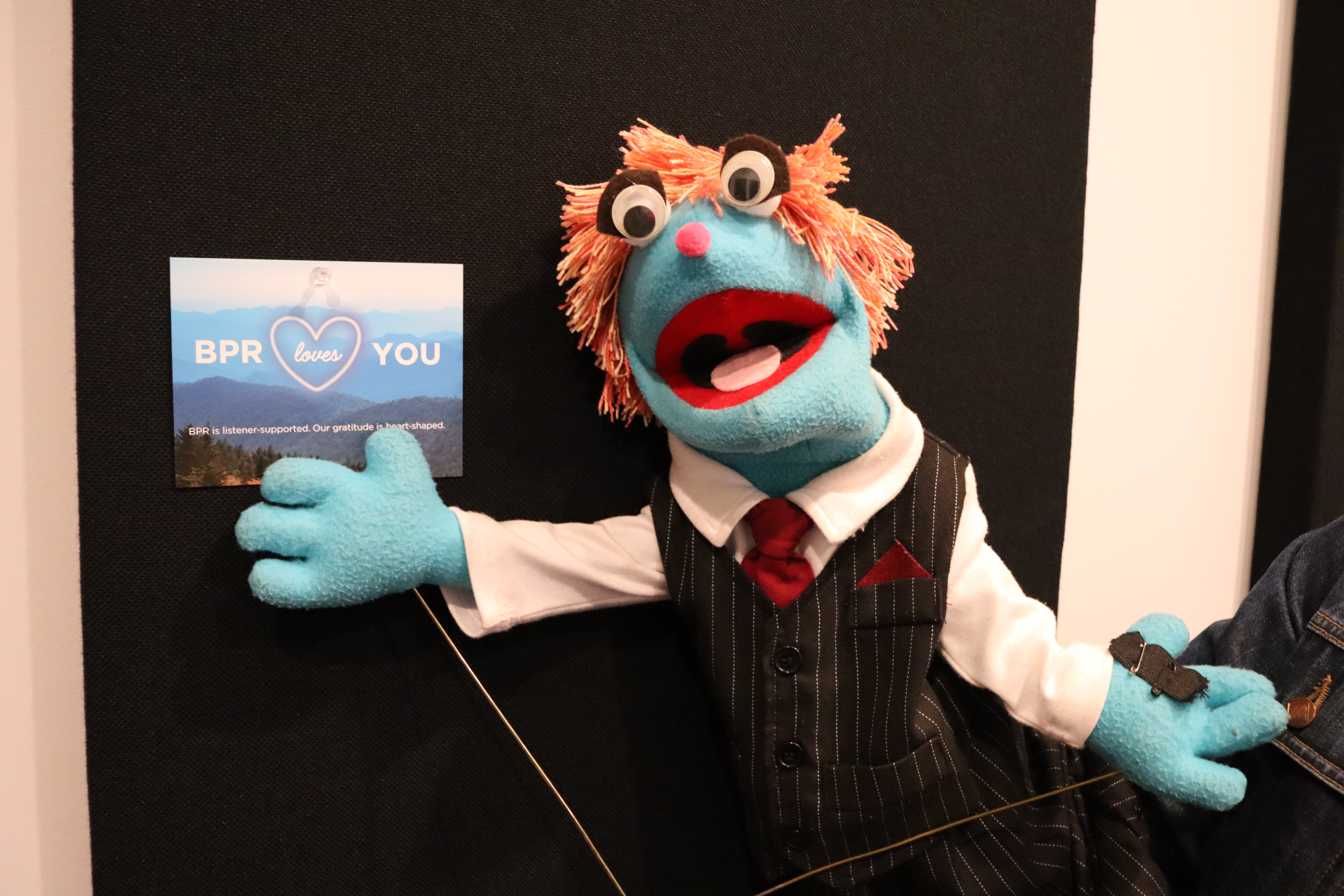 Meet Little Ginger, Asheville's new puppet correspondent
