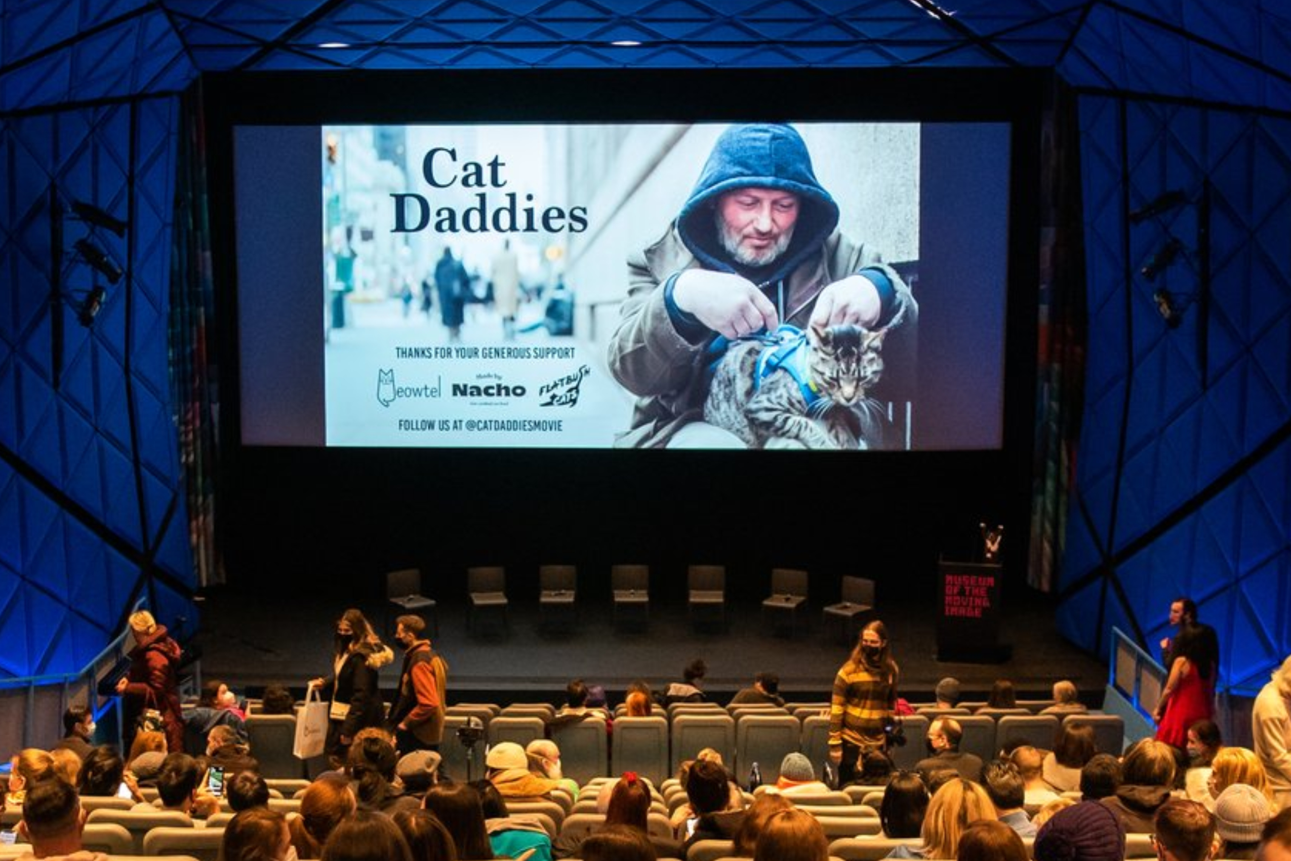The feline fathers of 'Cat Daddies' are the purr-fect parents - Vimarsana News