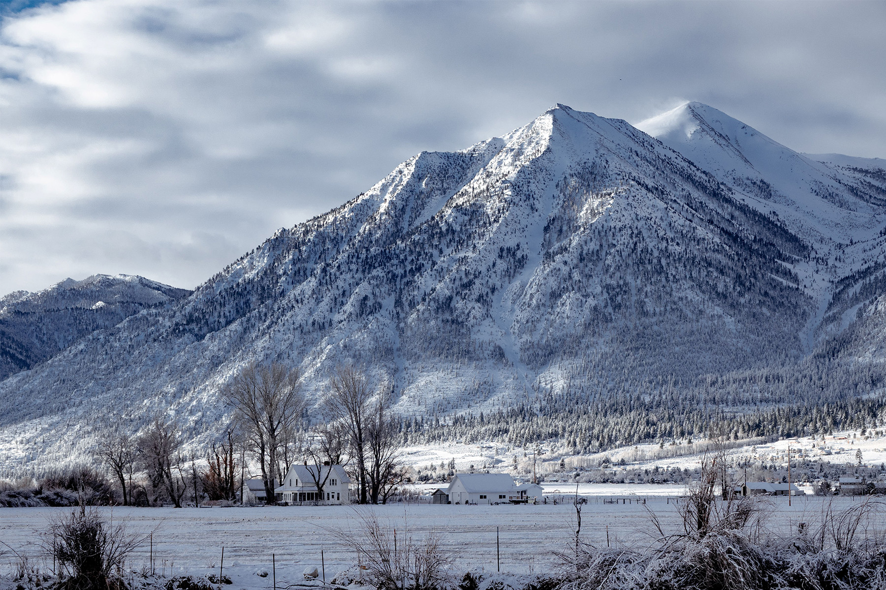 Cold winter morning on the range, Carson Valley.