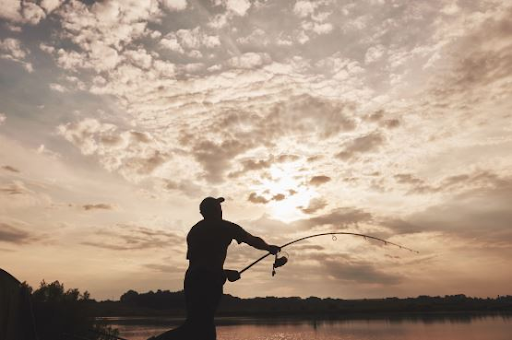 Kentucky hunting and fishing regulations amended at Land Between the Lakes - Vimarsana News