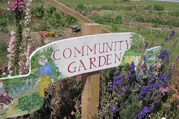 community-garden.jpg