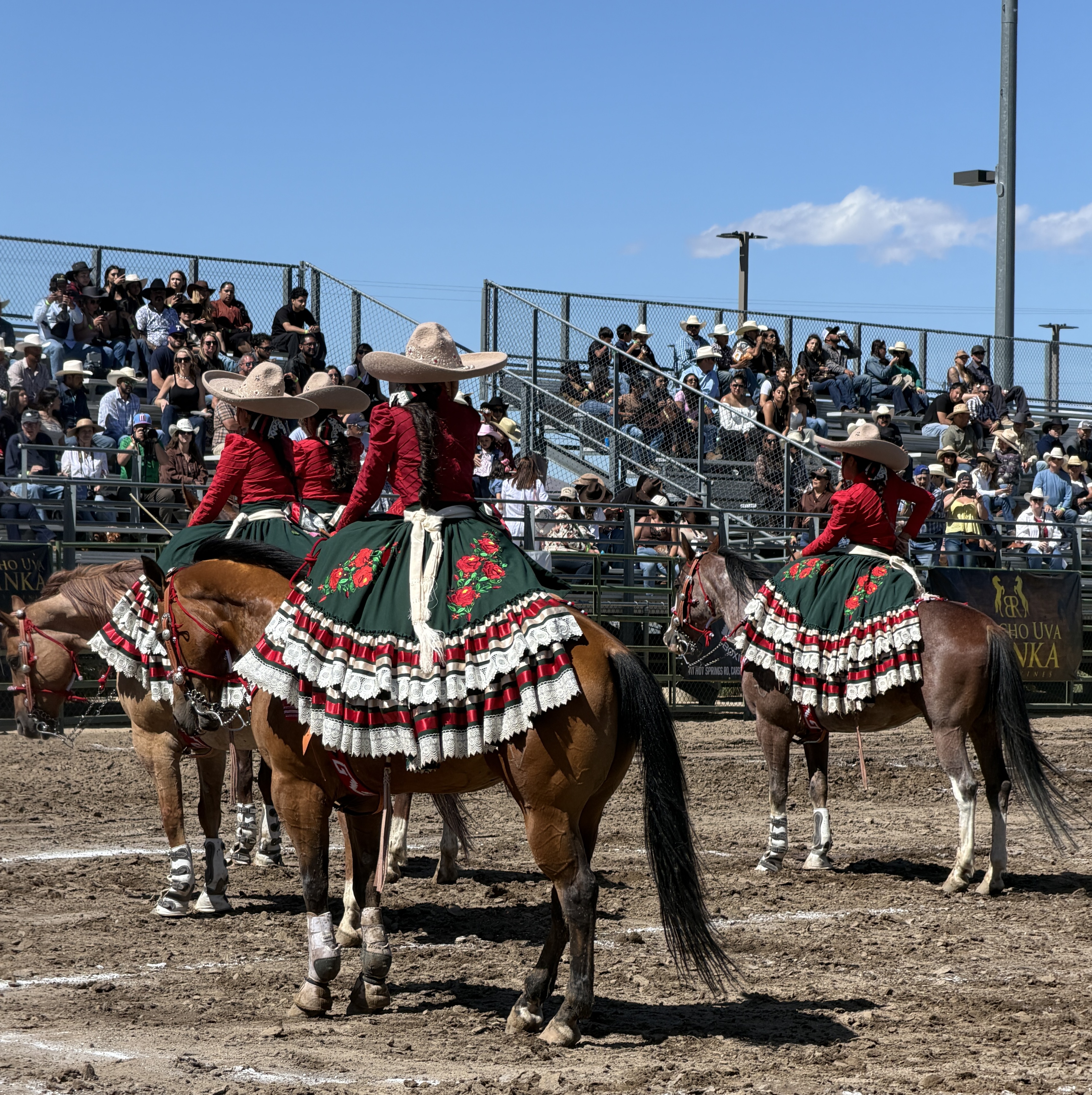 Caballos bailadores arrive in Carson City