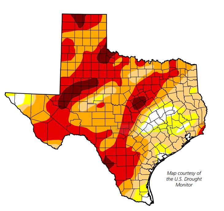 Texas climatologists warn of potential for prolonged drought - Vimarsana News