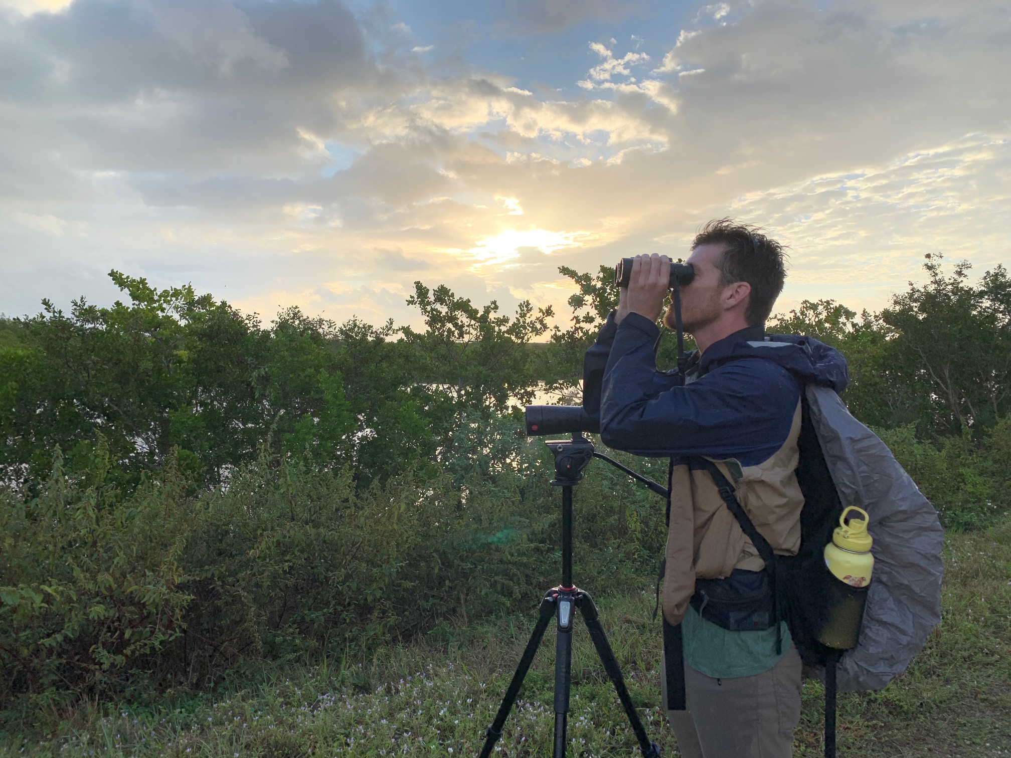 Psst! One of the best places to go birding in South Florida is ... the dump - Vimarsana News