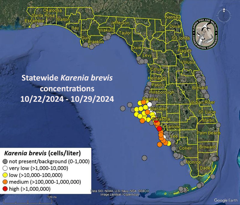 Tide Chart Sarasota Bay
