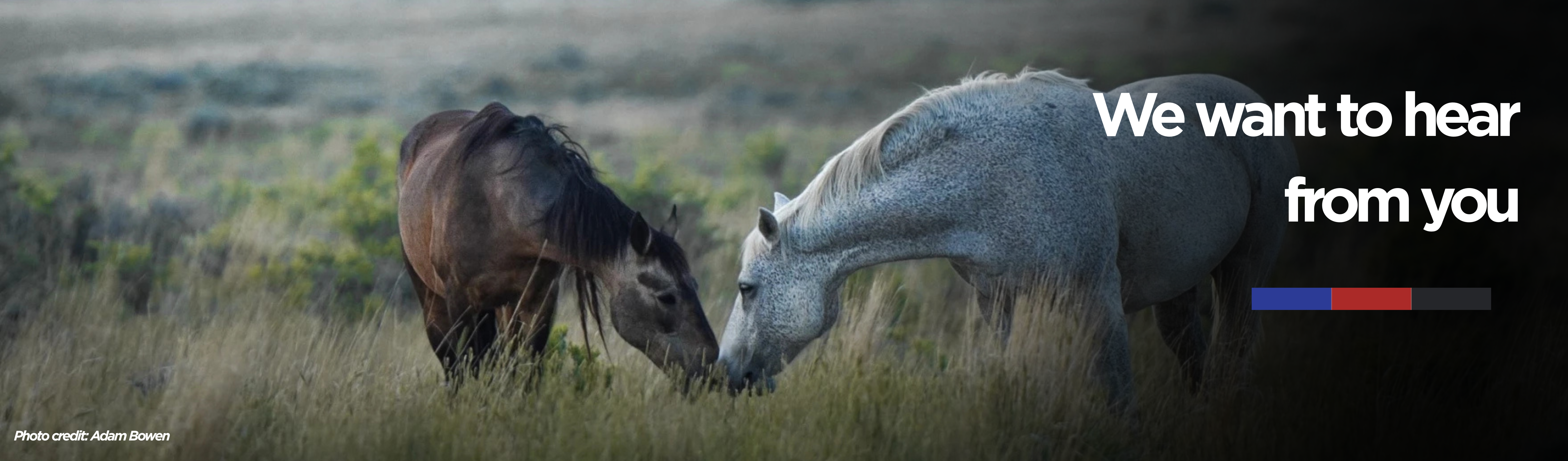 I Love WPR 60th Aniiversary with Horses