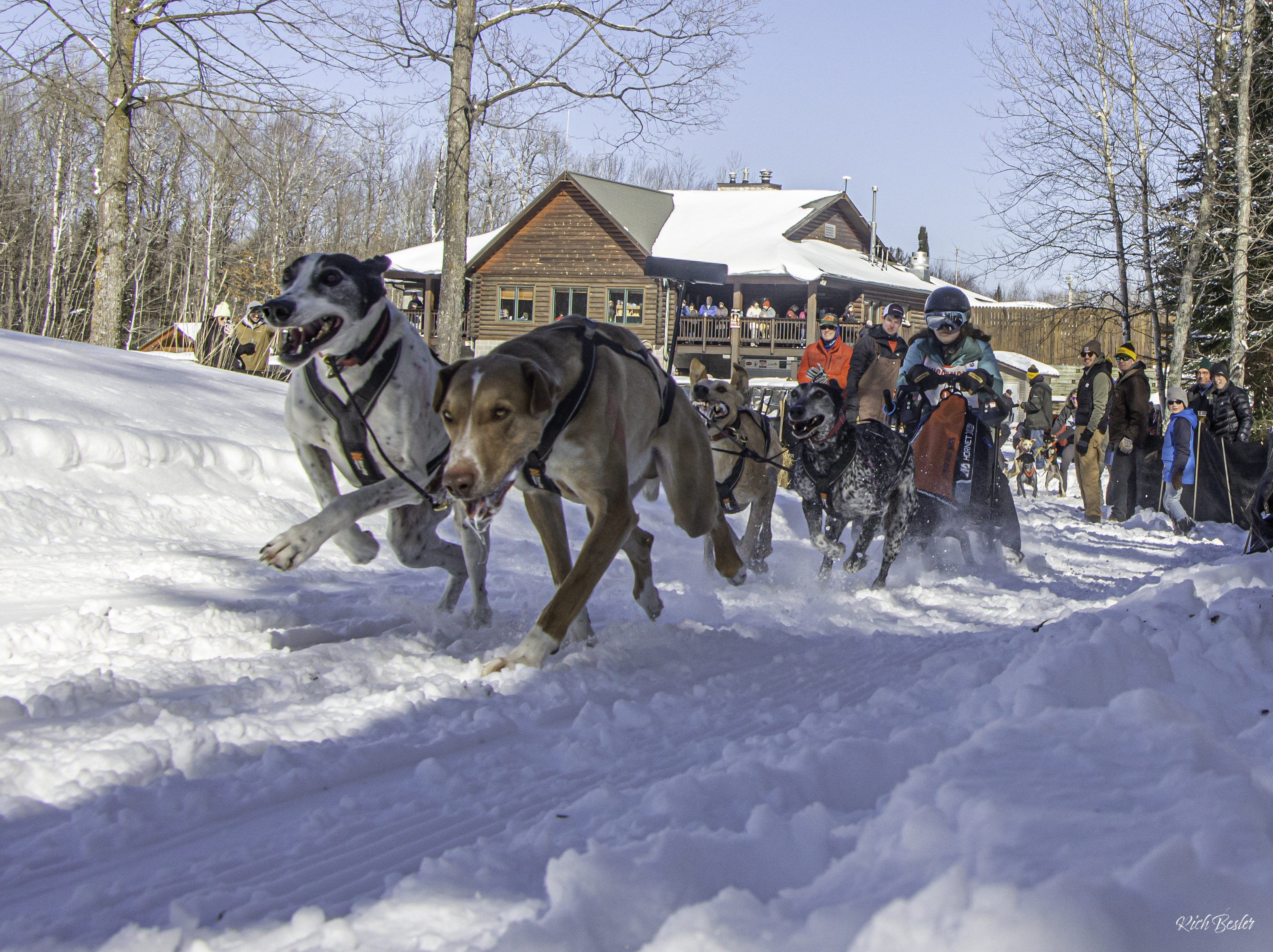 Heal Creek Dog Dash & Winter Fest returns to Rhinelander this