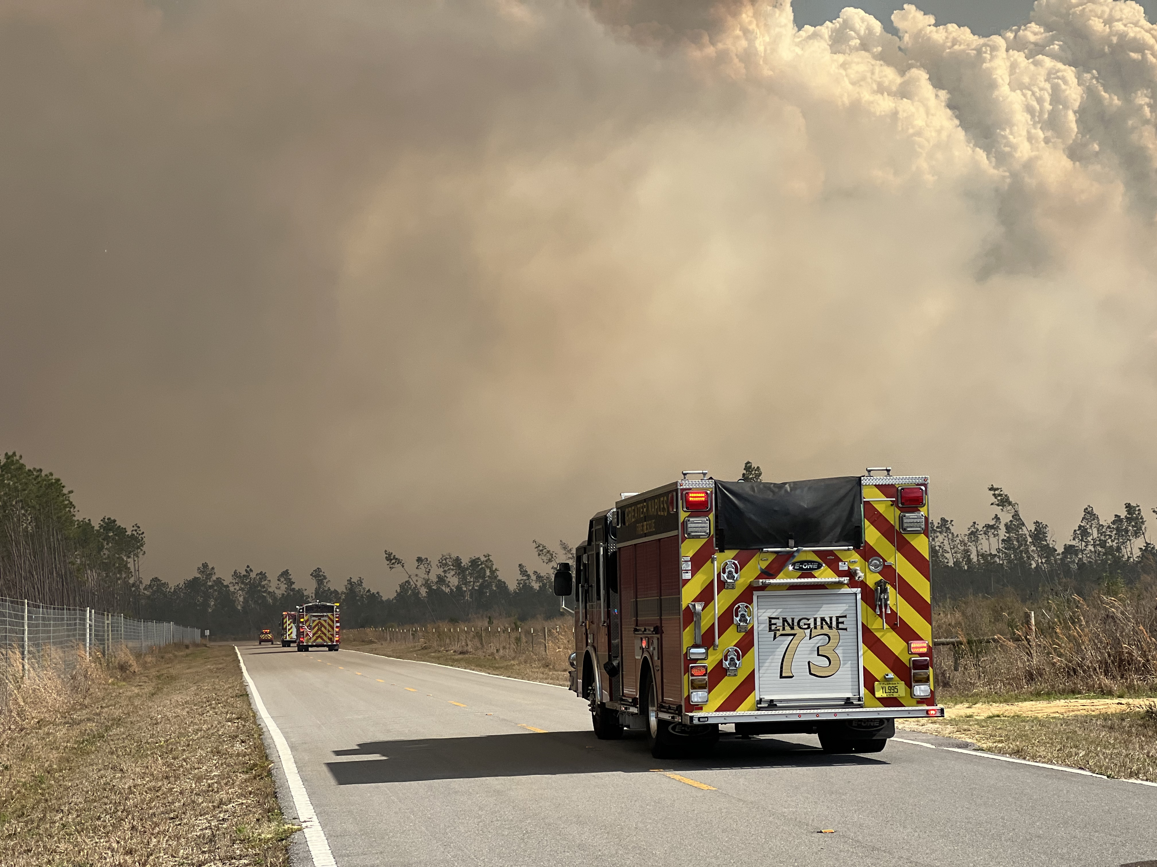 Rain helps cool massive wildfire in northwest Florida, but fire size remains unchanged - Vimarsana News