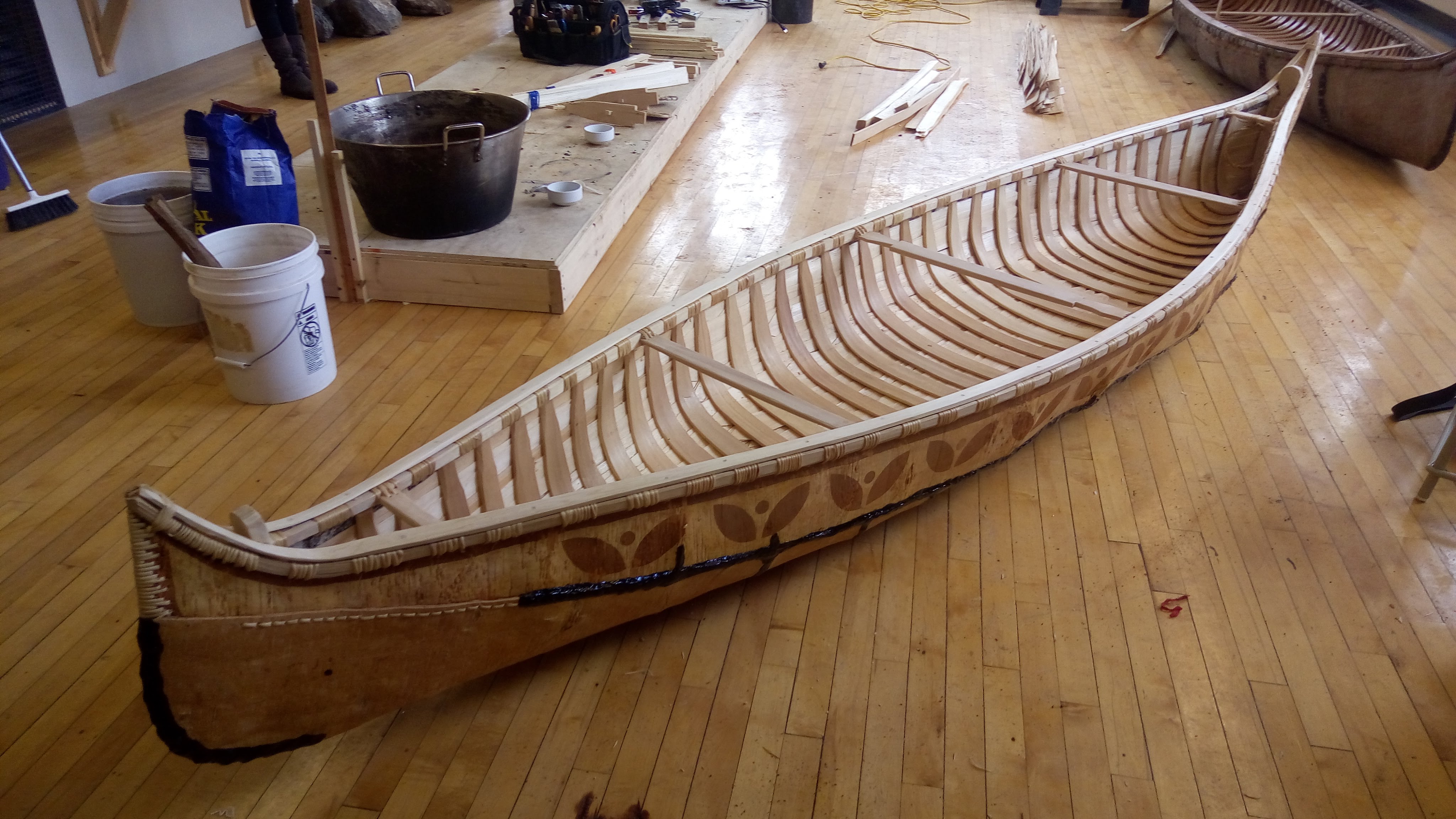 The tree that builds the lightest canoes | KUER, image size:4096x2304