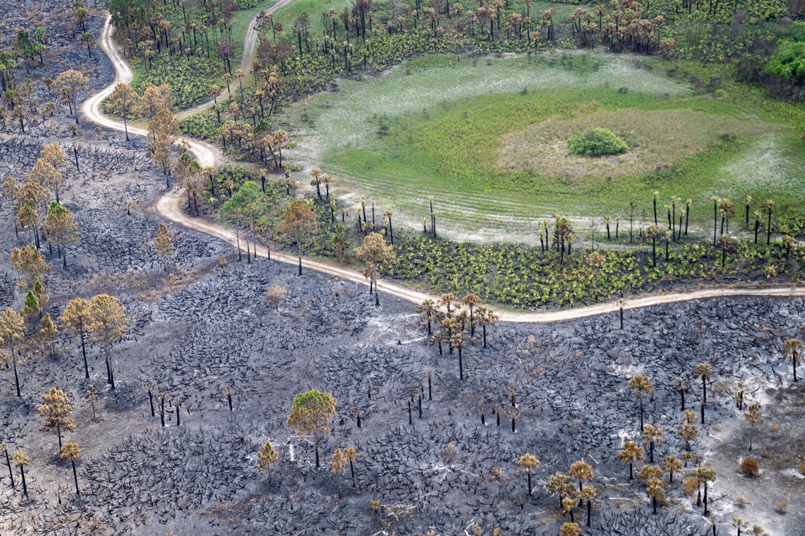Big Cypress National Preserve issues temporary area closure for