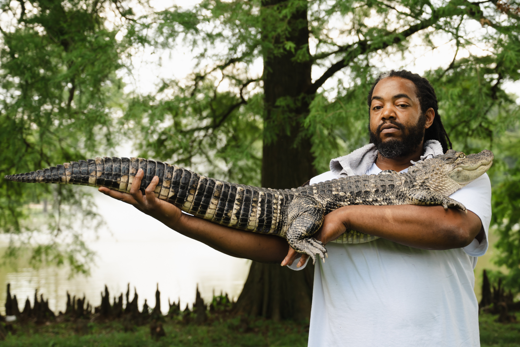 In St. Louis, some pets are 4 feet long and covered in scales