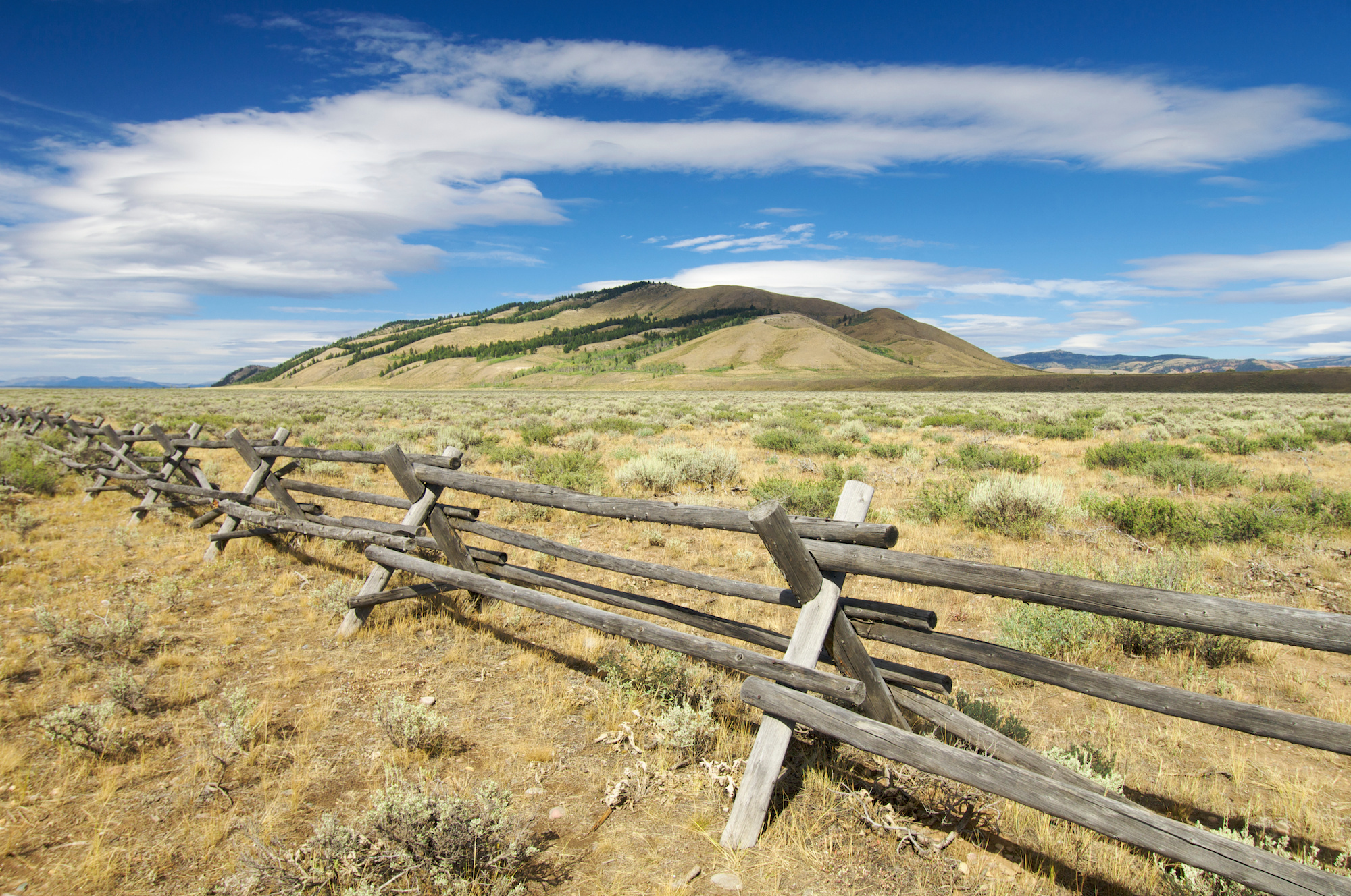 Research taps ranchers' fencing experience to reduce wildlife conflicts - Vimarsana News