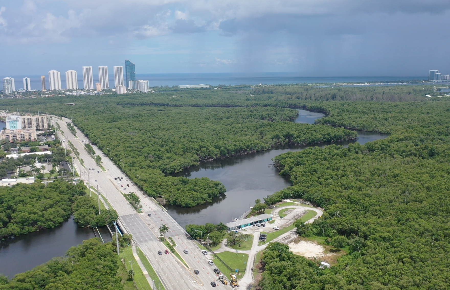 Miami commissioner drops controversial proposal to ban planting mangroves in city parks - Vimarsana News
