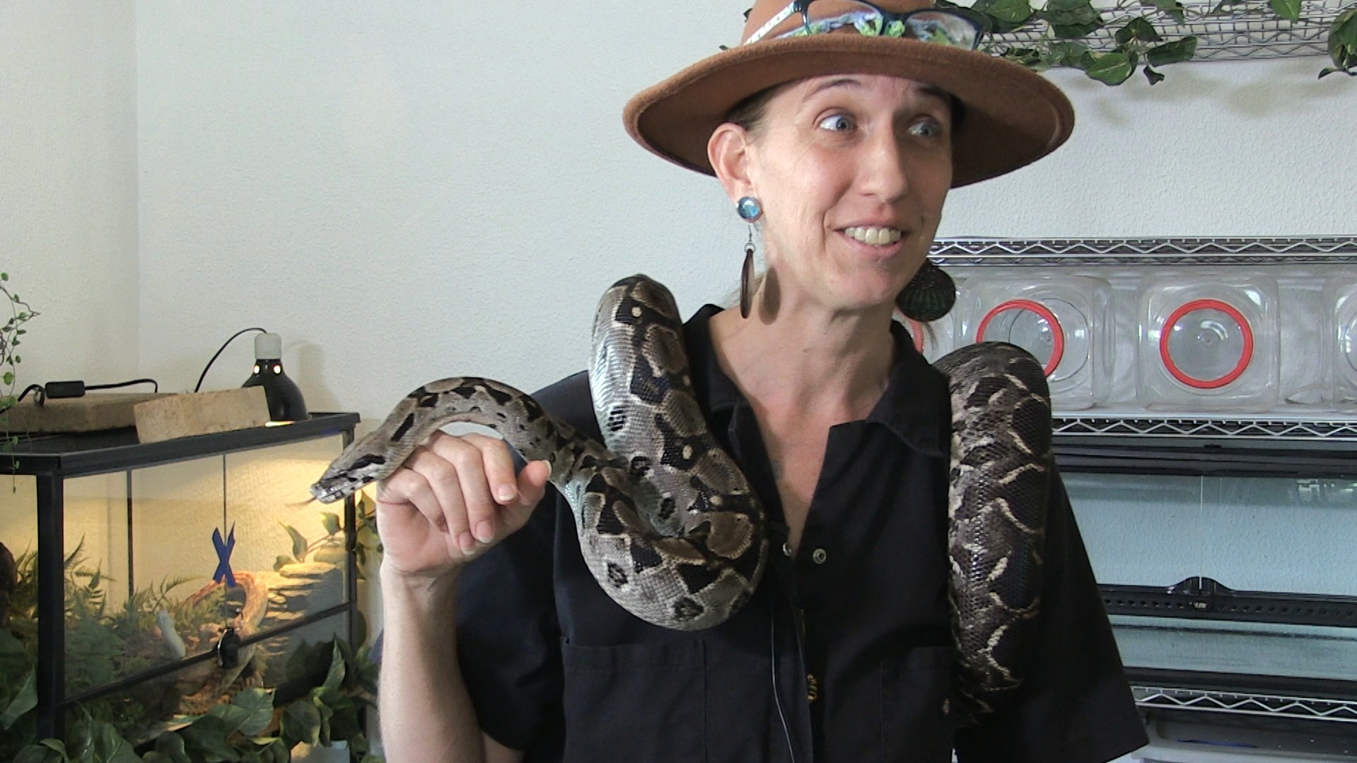 Las Cruces reptile rescue rehomes and rehabilitates surrendered pets