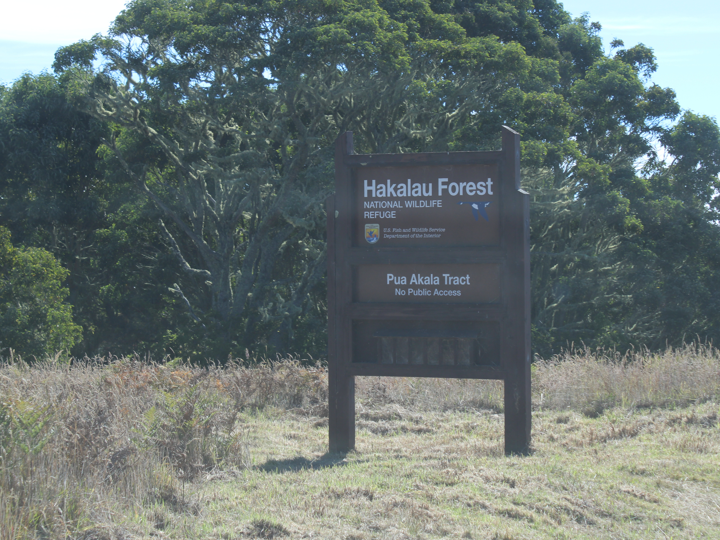 Hakalau refuge marks 4 decades of conservation amid funding