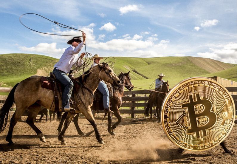Despite a recent string of bad news for the crypto industry, Wyoming still wants its business - Vimarsana News