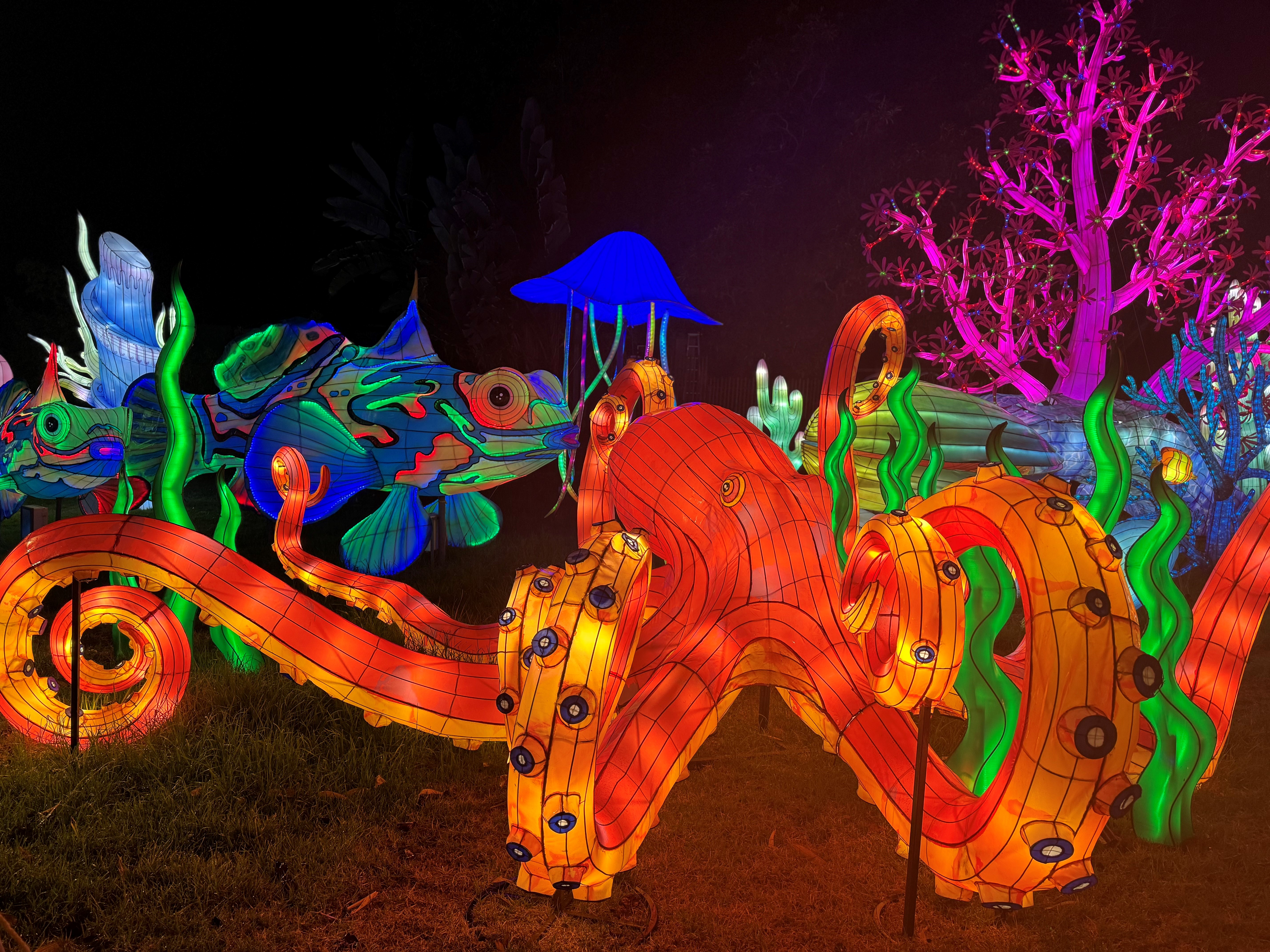 The Holidays are here and with it, festive light shows across the