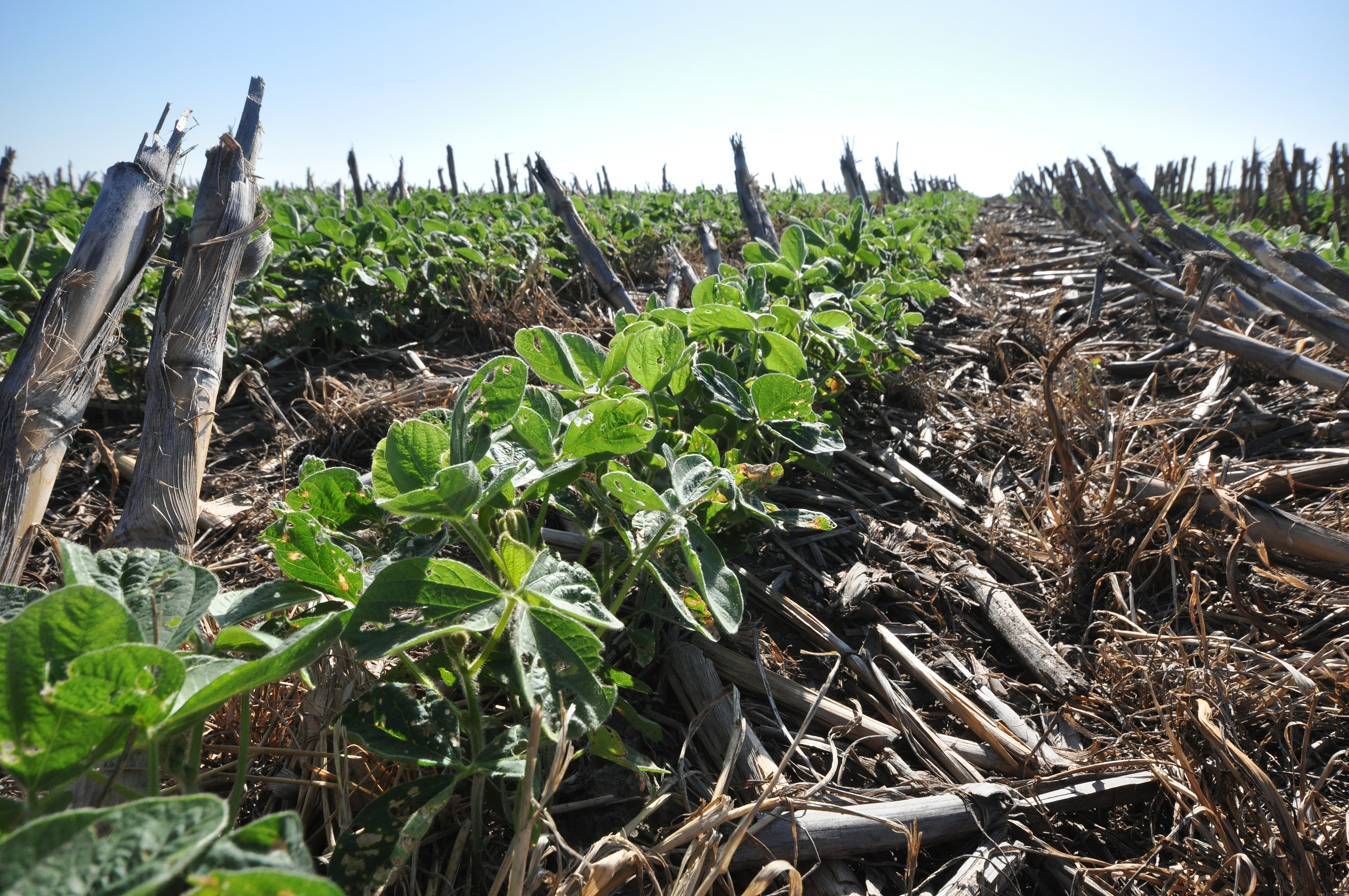 USDA spending only a sliver of conservation funding on climate-smart practices, a new report finds - Vimarsana News