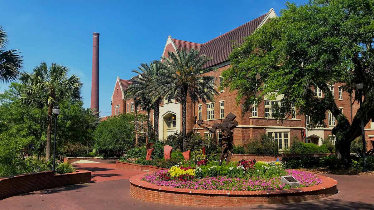 Should public university presidential searches be shielded from the public? - Vimarsana News