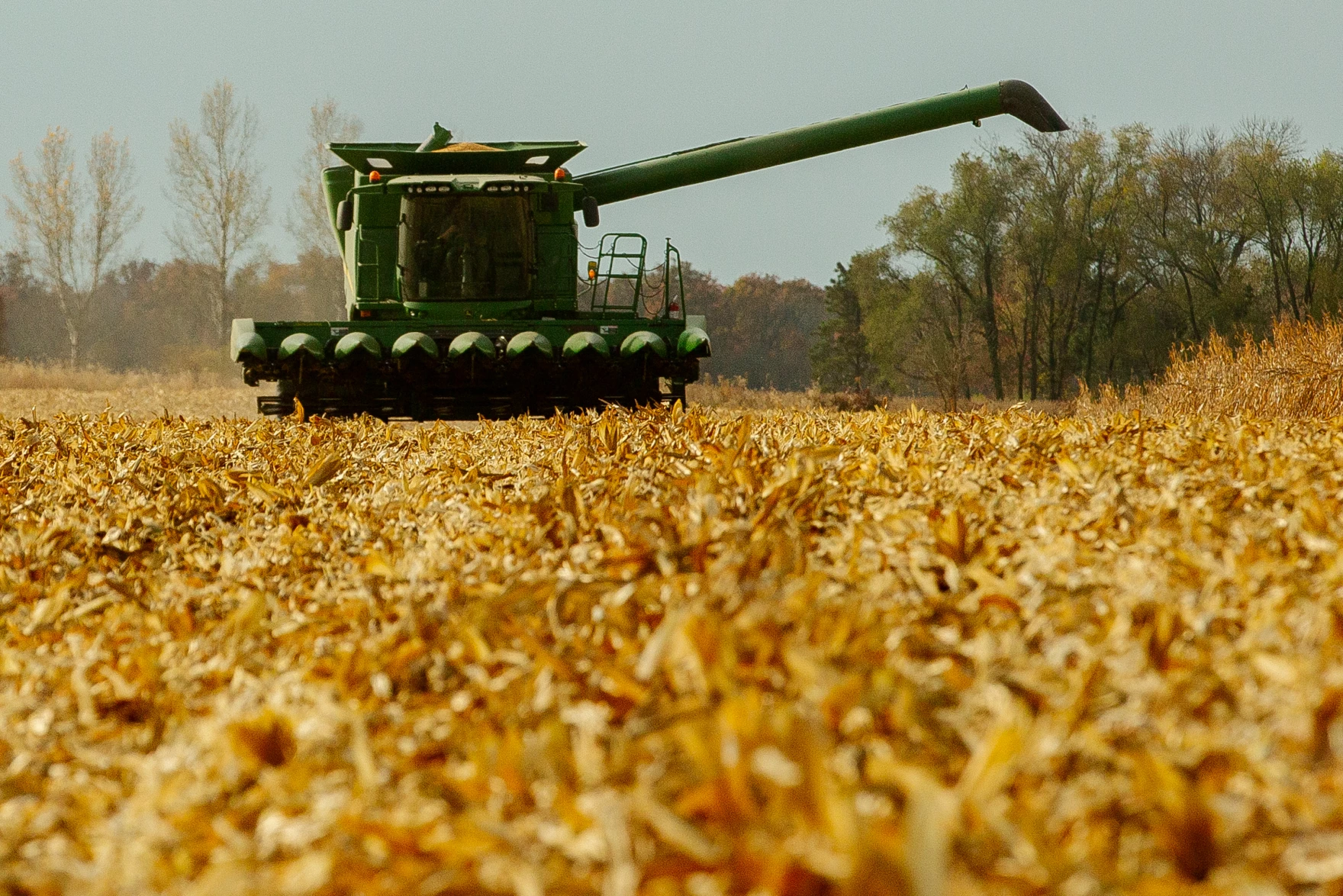 A new, divided Congress will have to take on a new Farm Bill with far-reaching effects - Vimarsana News