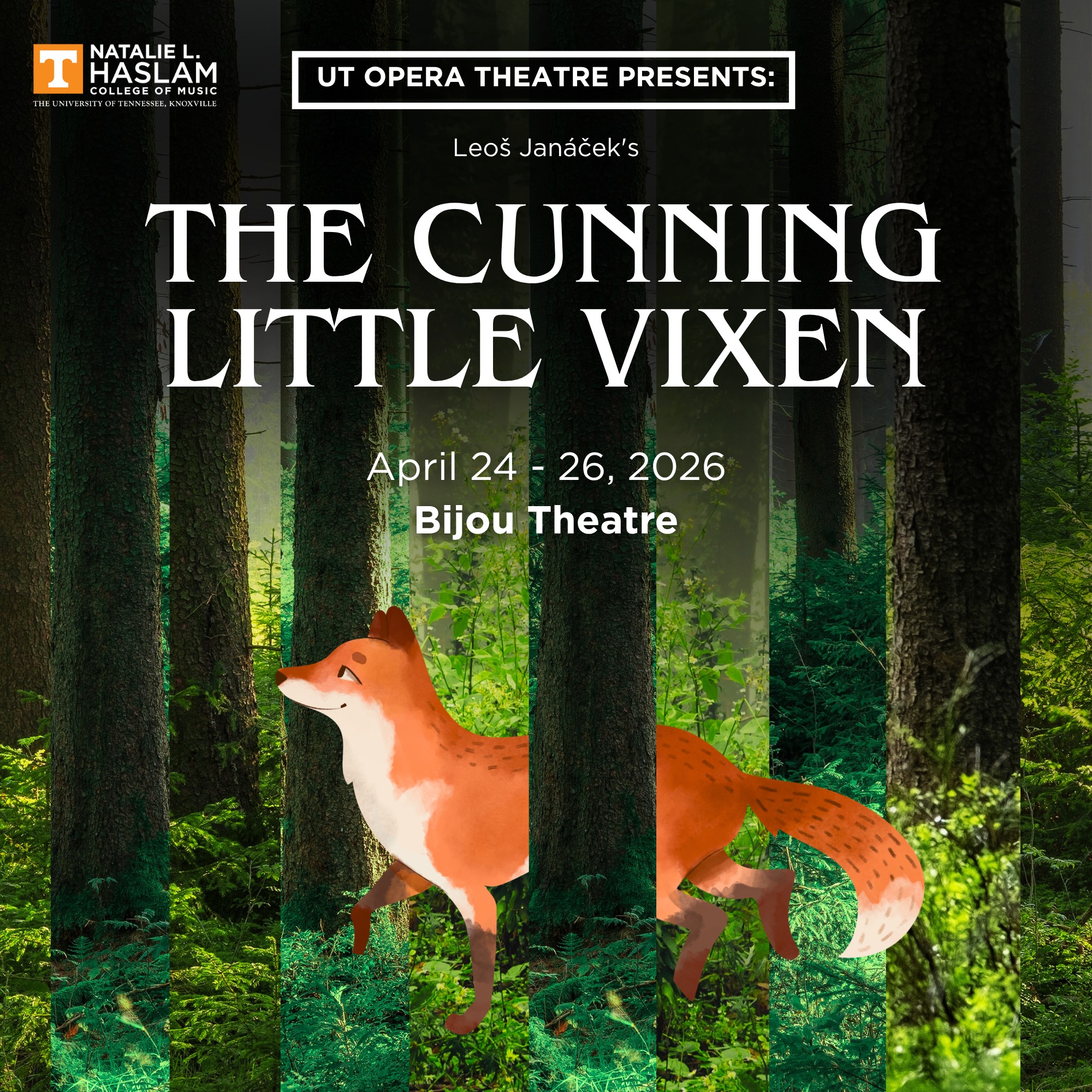 Cuny Janssen　クニー・ヤンセン　Finding Thoughts Janacek's 
