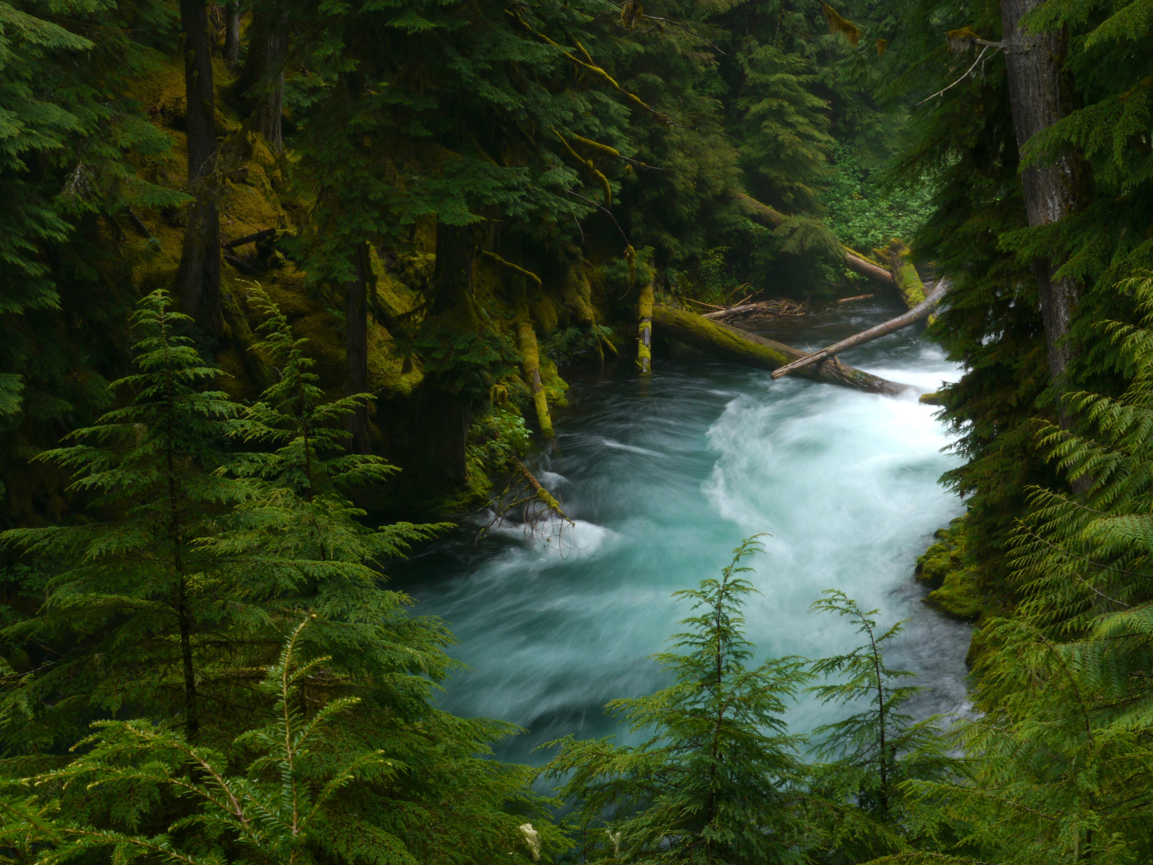 SUB to build new facility to draw drinking water from McKenzie River – Lookout Eugene-Springfield