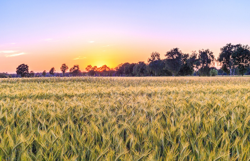 Carbon storage contracts require careful consideration by landowners - Vimarsana News