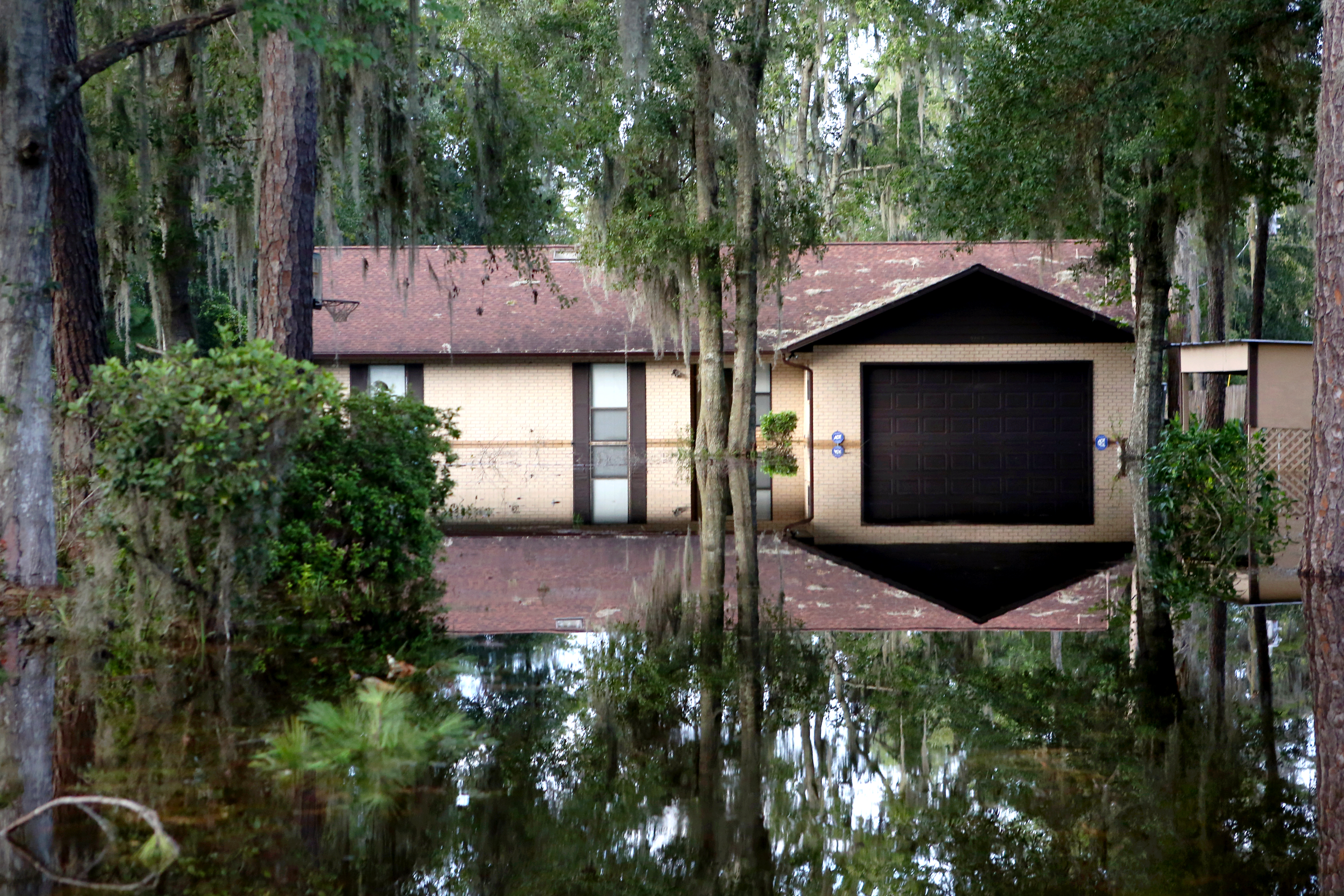 Hurricane Irma's impact, five years later - Vimarsana News