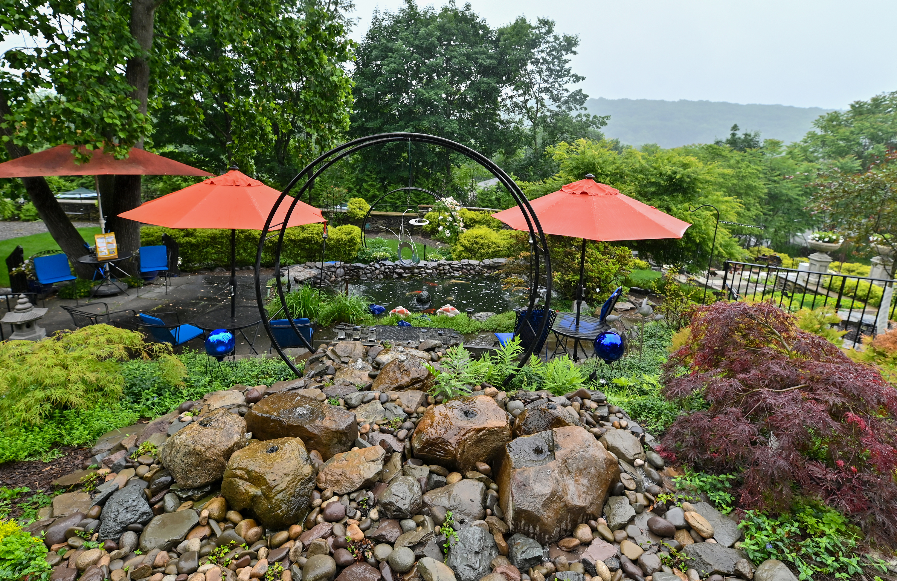 PLANT PEOPLE: Back Mountain gardens to be showcased in Luzerne