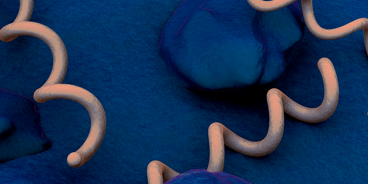 Babies are dying as congenital syphilis continues a decade-long surge across the country - Vimarsana News
