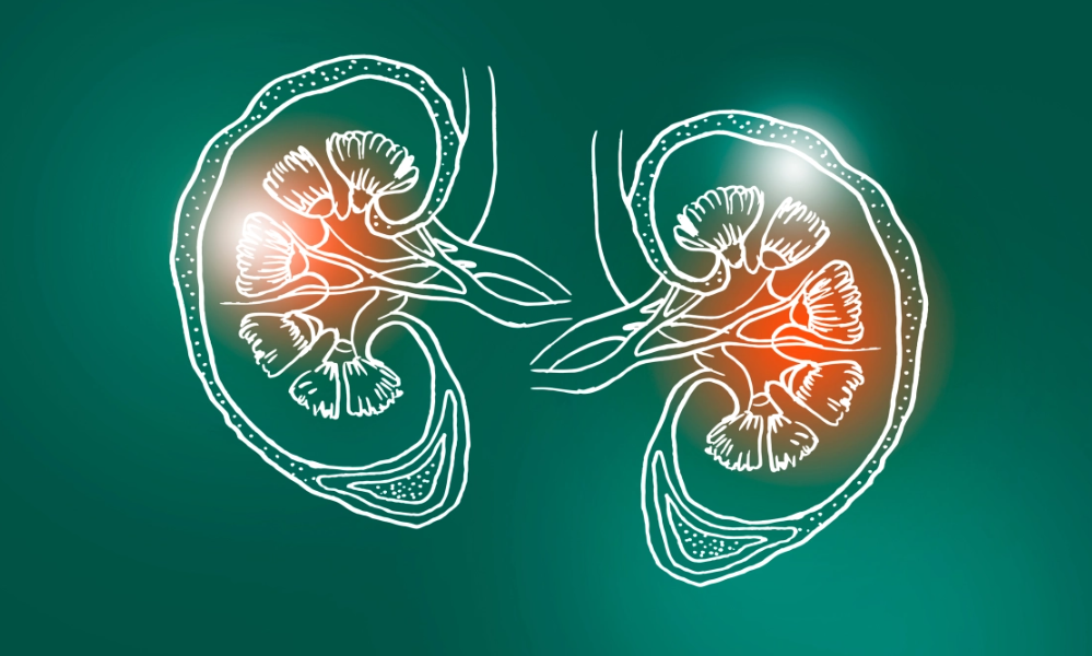 For kids with kidney disease, pediatric expertise is key — but not always close by - Vimarsana News