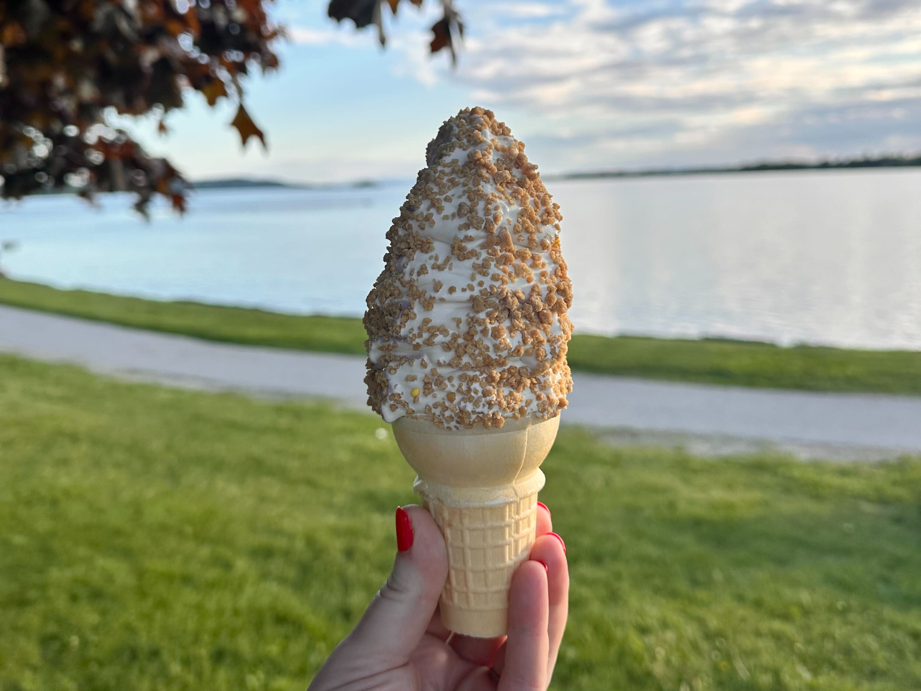 Get the scoop on the best creemees: Vermont Edition's 2025 ice cream show |  Vermont Public