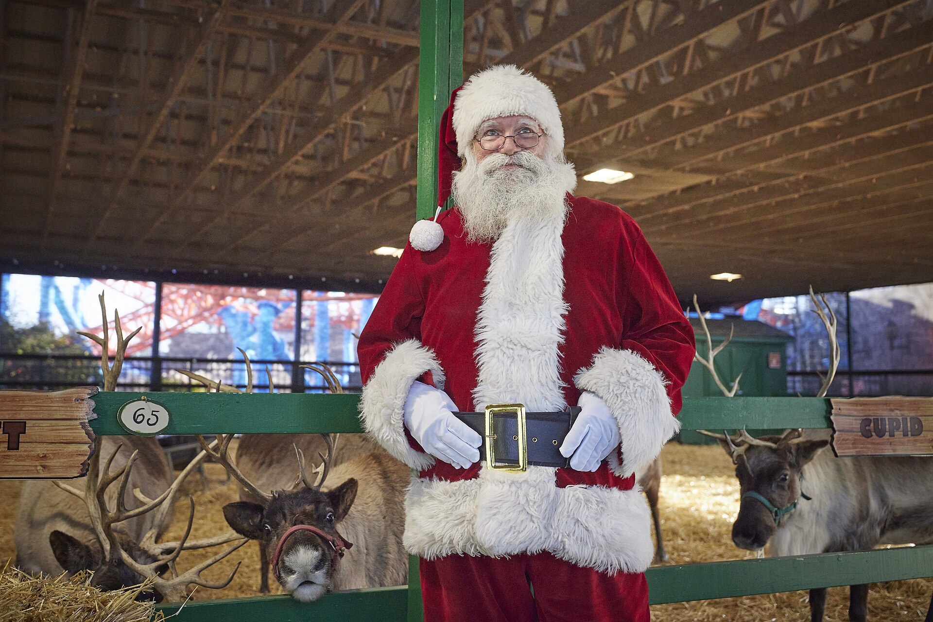 M.T. Anderson explores the true history of St. Nick