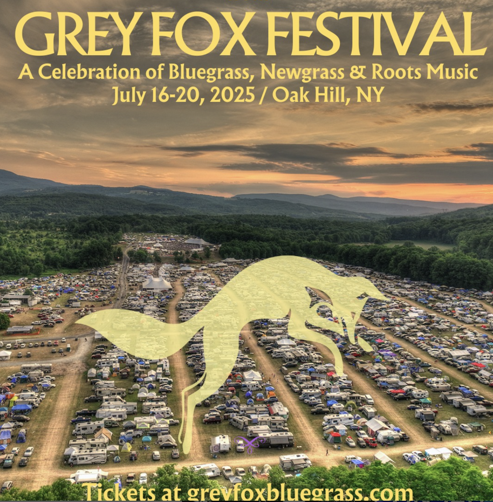 Grey Fox Bluegrass Festival 2025 | WEXT Radio