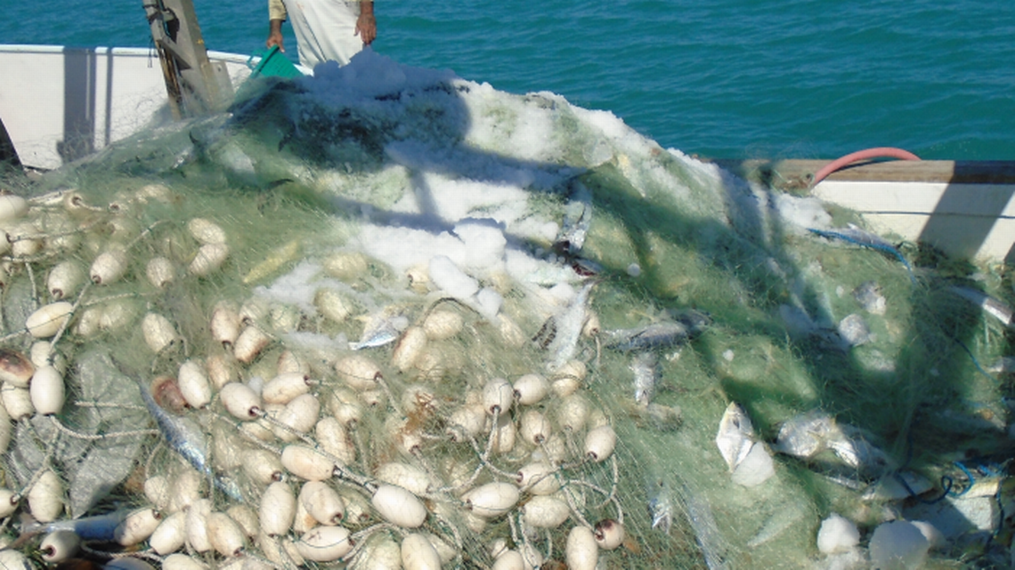 commercial fishing regulations florida nets Bucket – Shurhold Industries, Inc Flashback Florida: Before the Nets