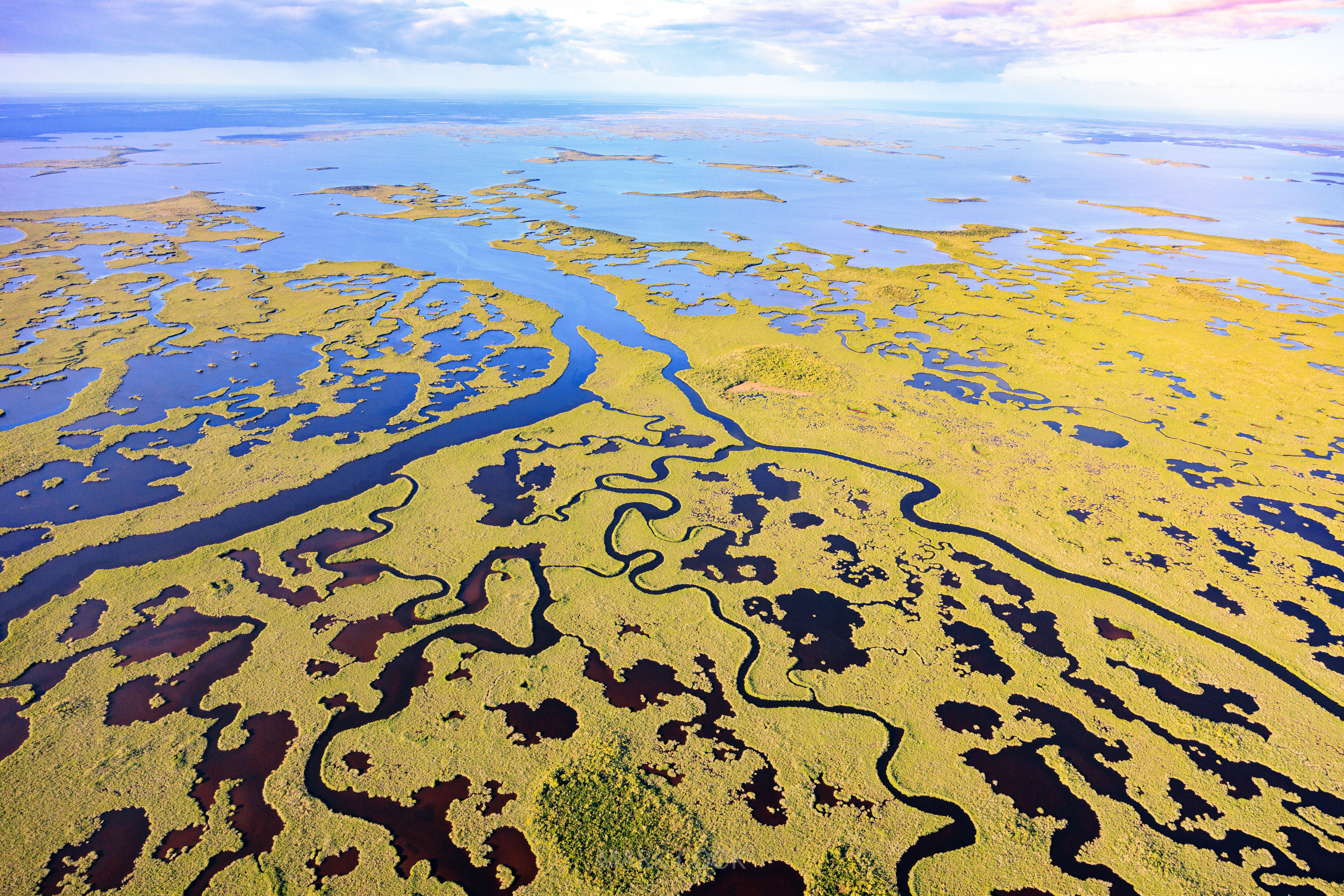 Powerful Everglades Foundation settles lawsuit against its former chief scientist - Vimarsana News