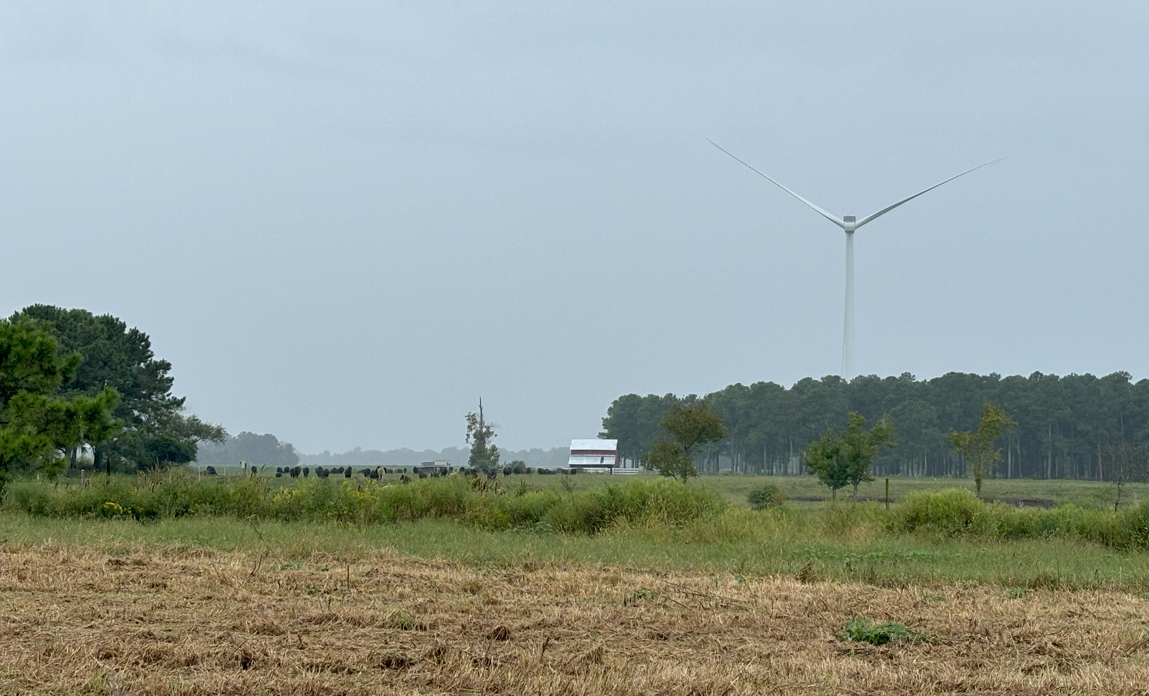 North Carolina's rural Chowan County has a new export: wind power