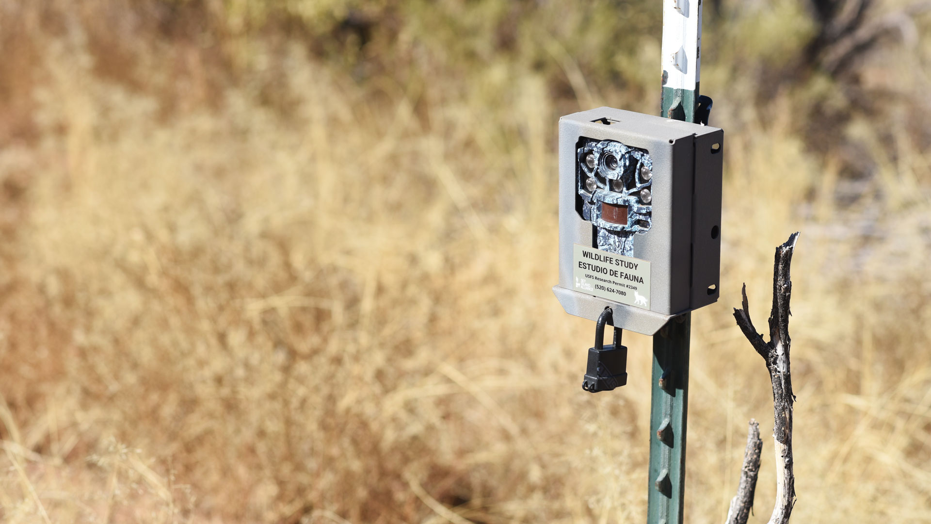 120324-wildlifecamera-ar.jpg