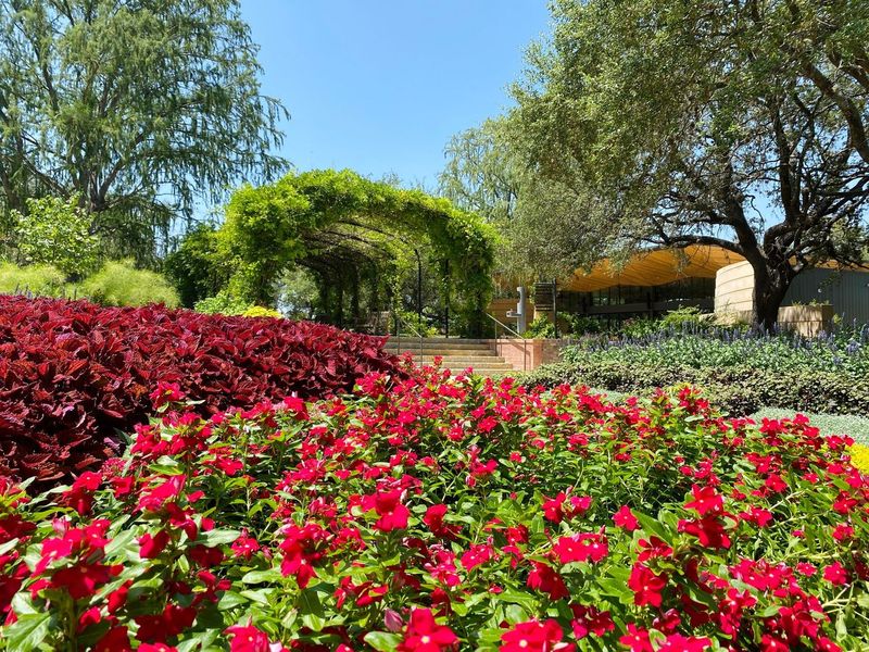San Antonio Botanical Garden Admission