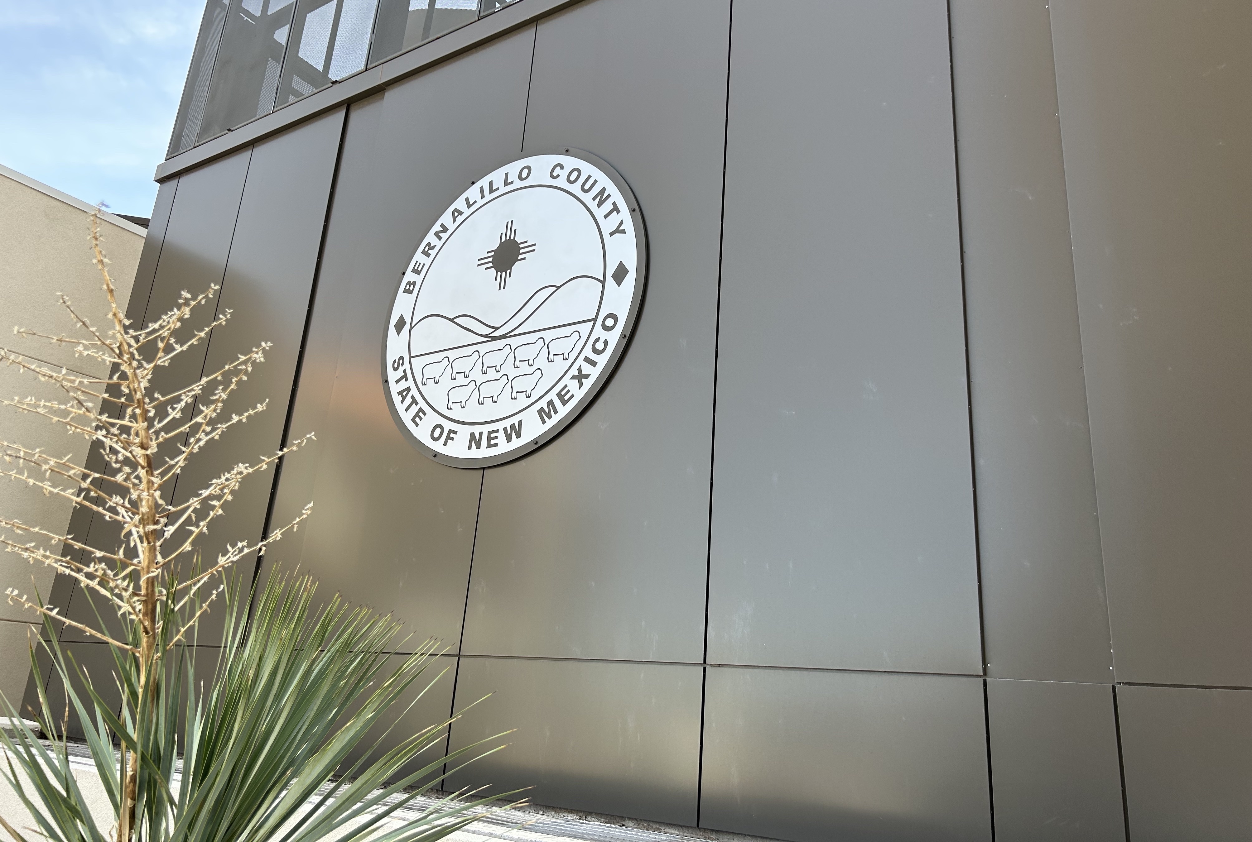 Group charged with improving behavioral health services says Bernalillo  County needs a system of care