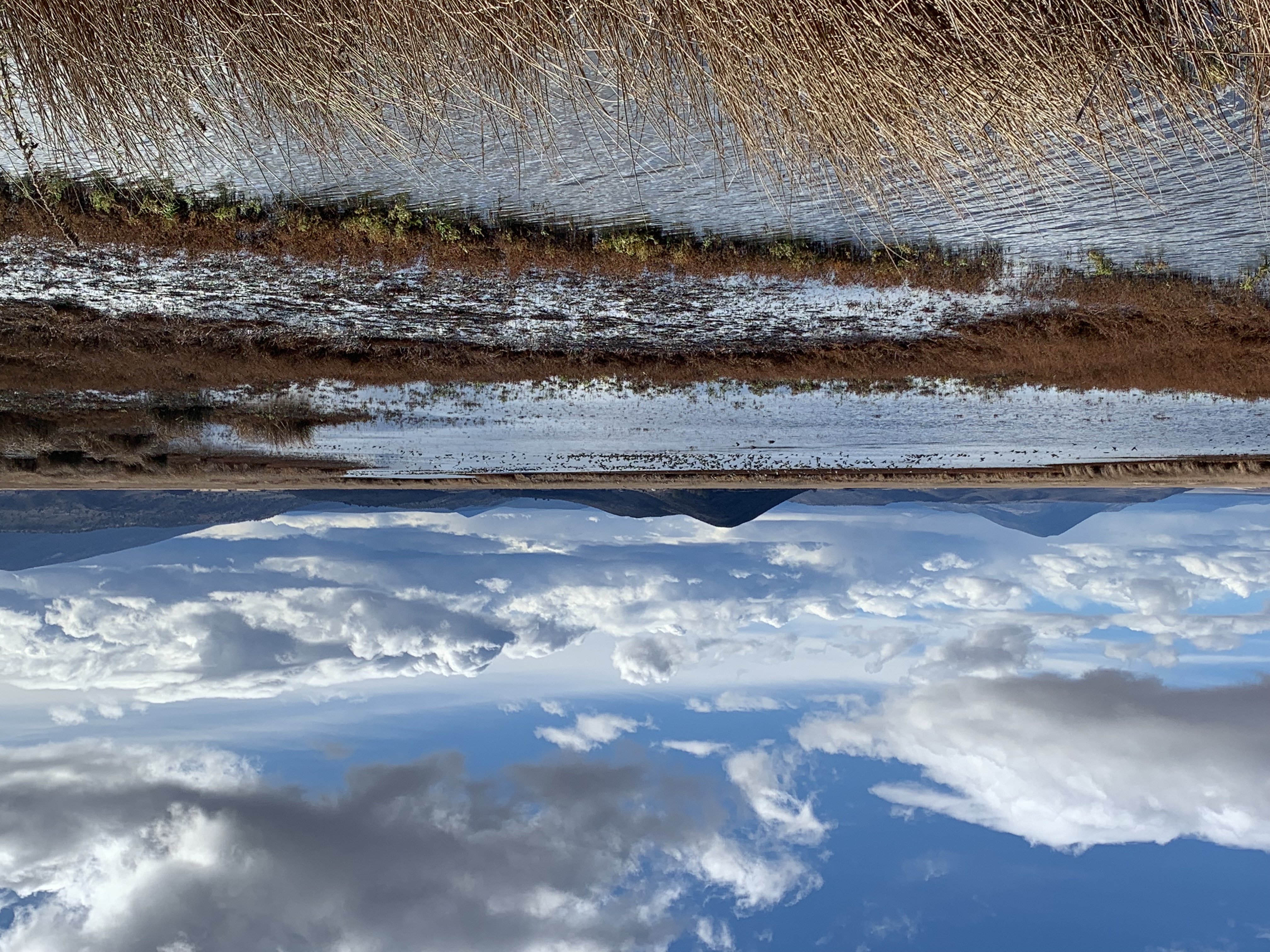 $15 million announced for habitat restoration projects in the Klamath Basin - Vimarsana News