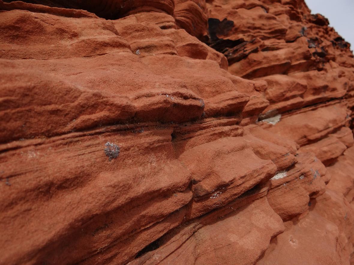 Geologists say Midwest rock formations could store carbon dioxide for 'eons' - Vimarsana News