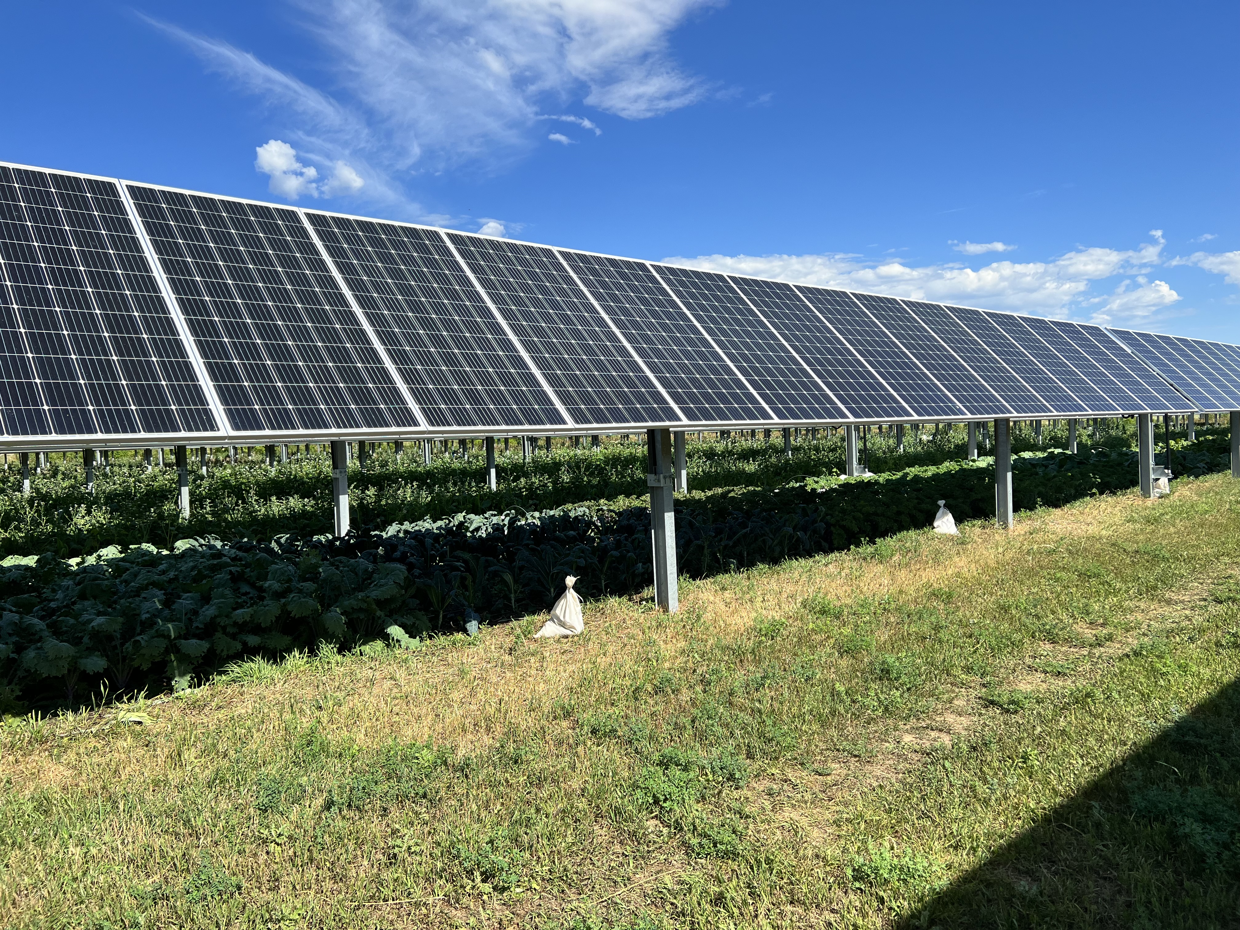 Should you go solar? We asked an expert - Vimarsana News