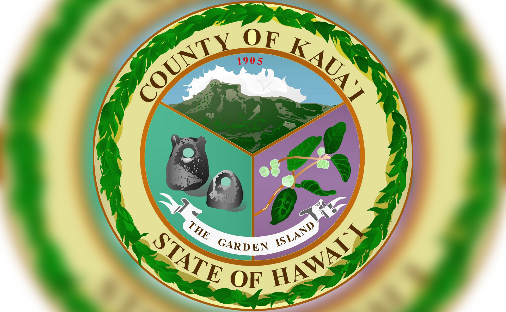 Voting explainer: Kauaʻi County charter amendment ballot questions |  Hawai'i Public Radio