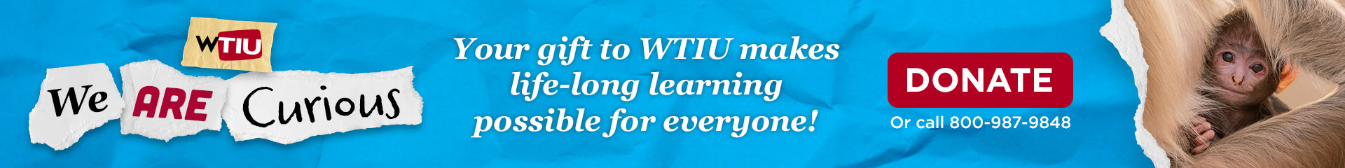 WTIU — We Are Curious — Your gift to WTIU makes life-long learning possible for everyone; donate online or call 1-800-987-9848