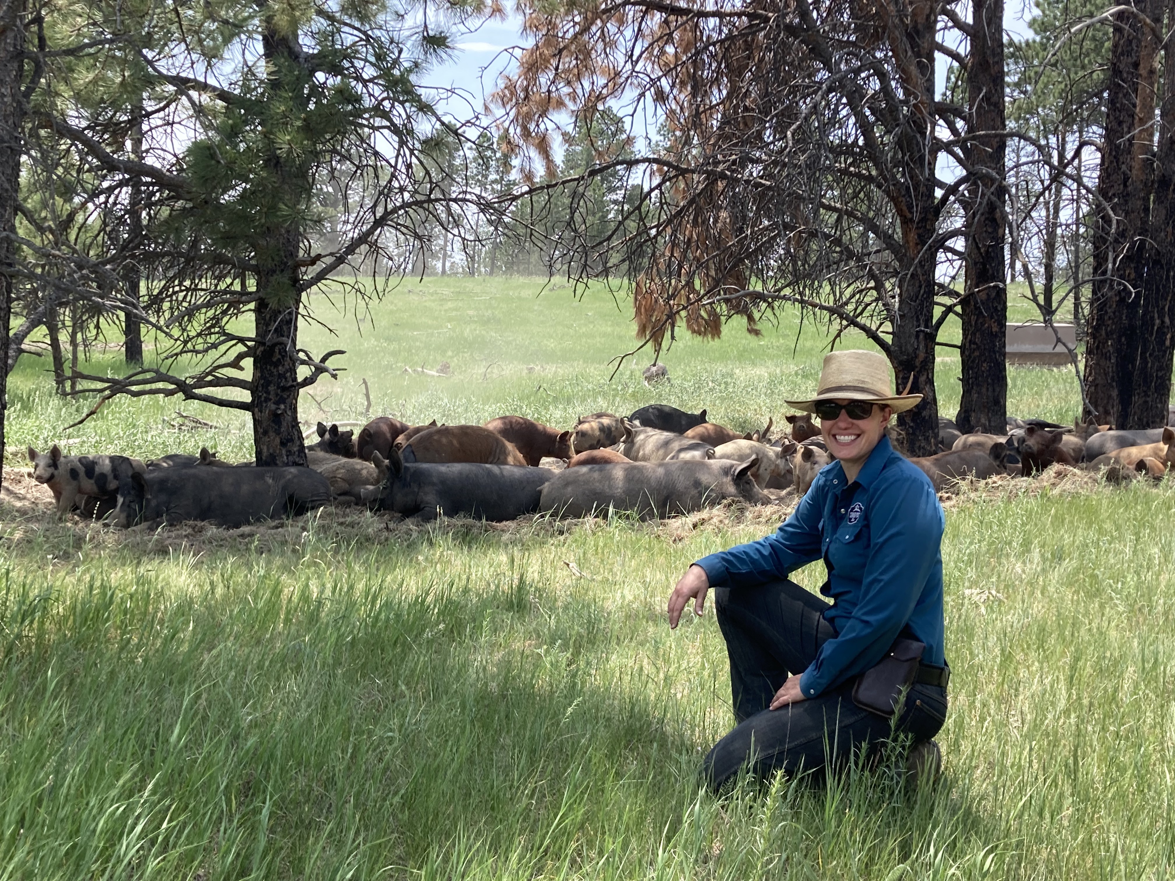 Ranching, and birding, amid Colorado's suburban sprawl - Vimarsana News