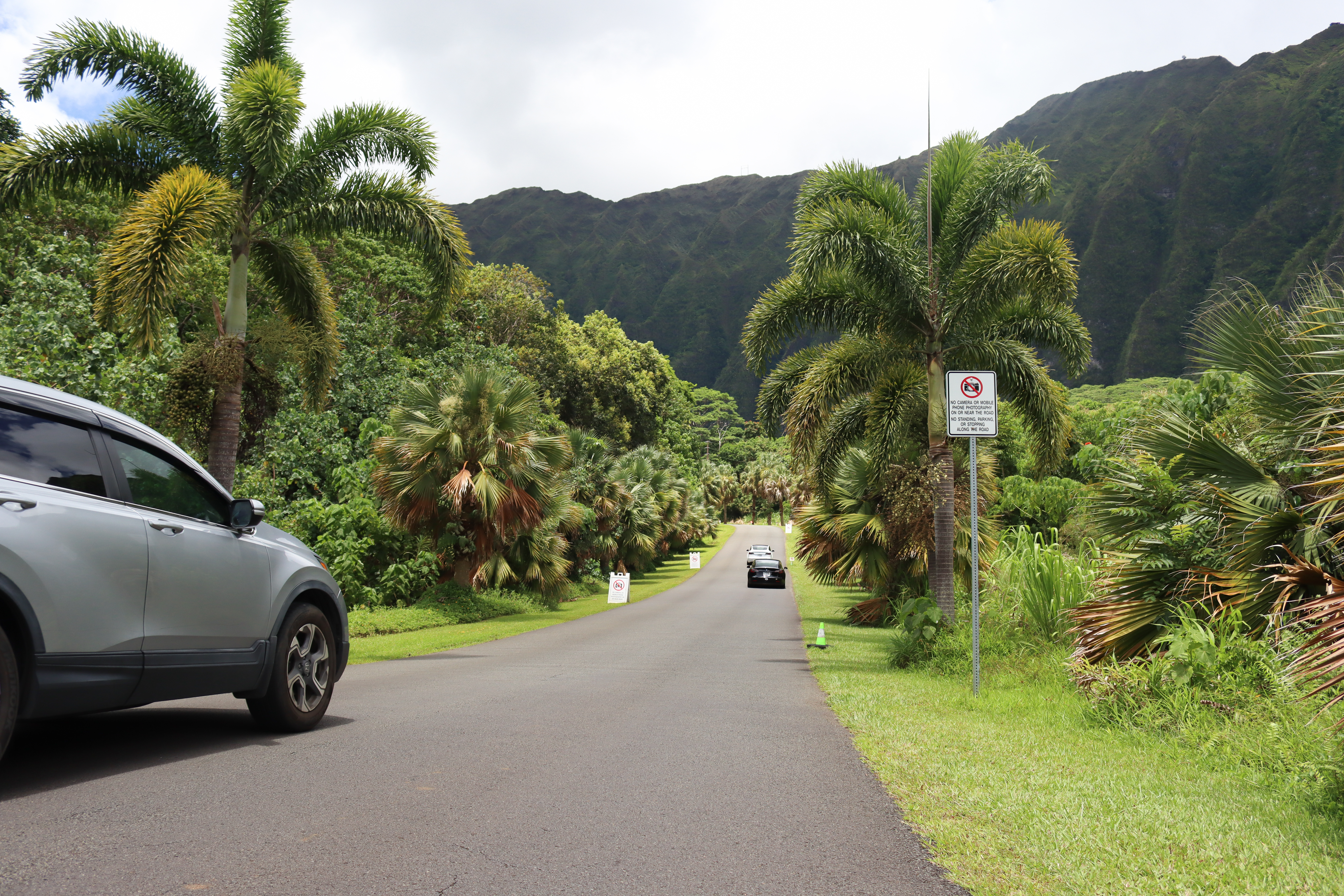 Hoʻomaluhia Botanical Garden considers limiting visitors and charging fees  | Hawaii Public Radio