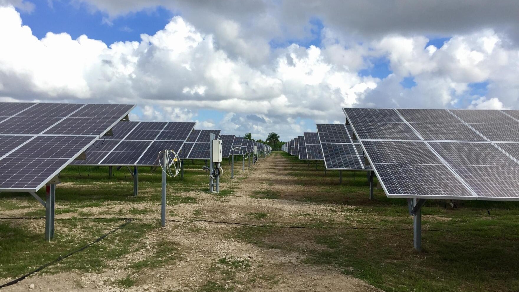 'I don't have a lot of hope,' ag commissioner says about her own renewable energy targets - Vimarsana News
