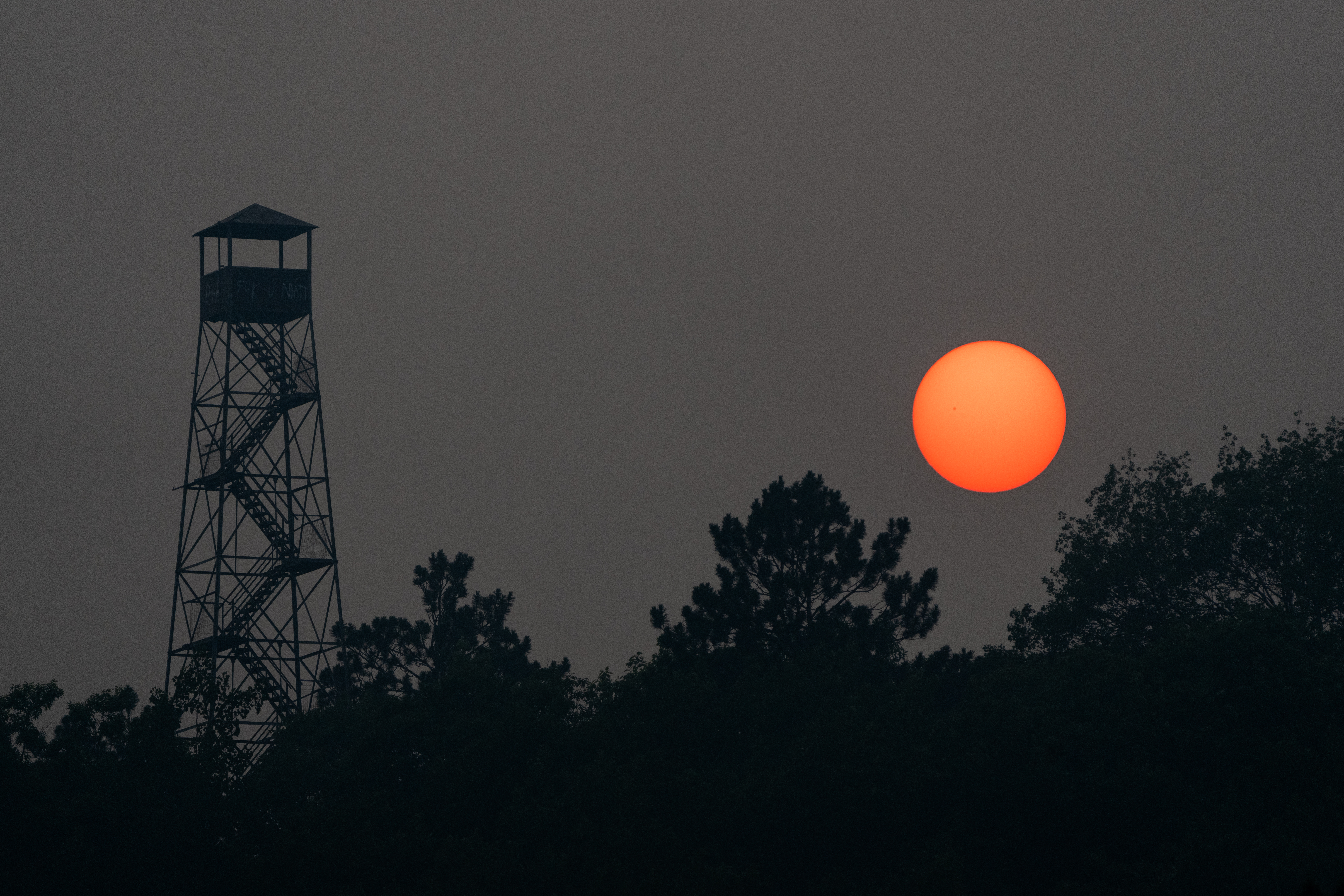 Remember to keep pets, livestock safe from wildfire smoke, professional says